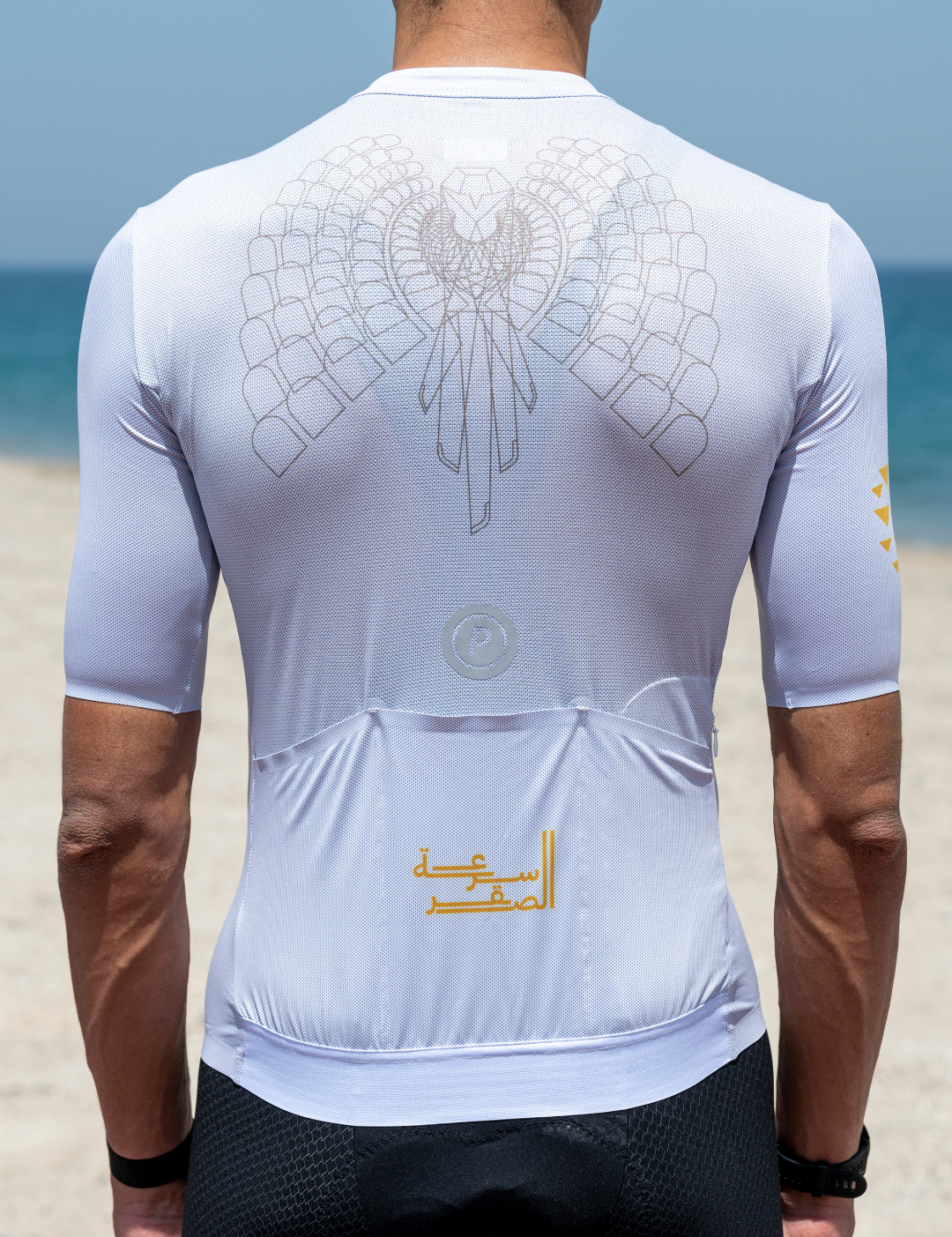 falcon-performace-cycling-jersey-02_330d5b66-21c4-472c-99c3-11fe38f69eec.png