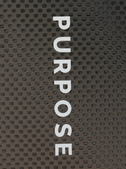 Hypermesh PRO Plus Running Singlet (Terracotta)